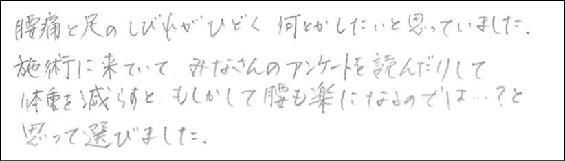 登米市,ダイエット,感想