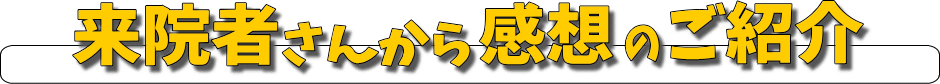 整体カイロプラクティックの感想、口コミ