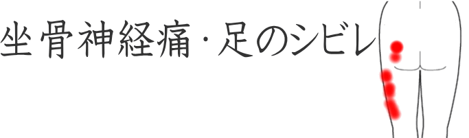 登米市 神経痛